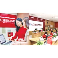 Giờ làm việc ngân hàng Agribank cập nhật mới nhất 2024