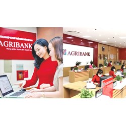 Giờ làm việc ngân hàng Agribank cập nhật mới nhất 2024