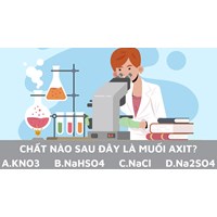 Chất nào sau đây là muối axit?. A. KNO3. B NaHSO4. C. NaCl. D. Na2SO4