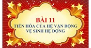 Giải Sinh học 8 Bài 11: Tiến hóa của hệ vận động chi tiết nhất