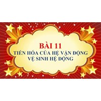 Giải Sinh học 8 Bài 11: Tiến hóa của hệ vận động chi tiết nhất