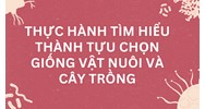 Thực hành Tìm hiểu thành tựu chọn giống vật nuôi và cây trồng