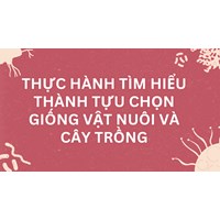 Thực hành Tìm hiểu thành tựu chọn giống vật nuôi và cây trồng