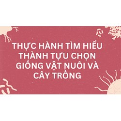 Thực hành Tìm hiểu thành tựu chọn giống vật nuôi và cây trồng