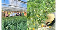 Bán sản phẩm nông nghiệp, trồng trọt tính thuế như thế nào?