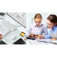Anh trai làm giám đốc, em có được làm Kế toán trưởng không?