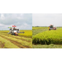 Viện Kinh tế Nông nghiệp có những nhiệm vụ chính nào?
