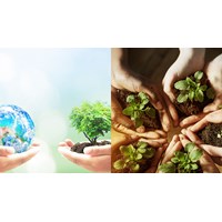 Ai bổ nhiệm vị trí giám đốc Sở Tài nguyên môi trường Hà Nội