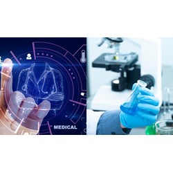 Viện Hàn lâm Khoa học và Công nghệ Việt Nam có tổ chức đào tạo sau đại học