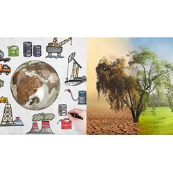 Dữ liệu, chứng cứ sử dụng để xác định thiệt hại do ô nhiễm, suy thoái môi trường