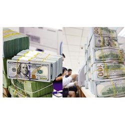 Quy trình công khai thông tin tài chính doanh nghiệp nhà nước thuộc Bộ Quốc phòng