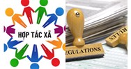 Điều lệ hợp tác xã phải có thông tin về biểu tượng của hợp tác xã?
