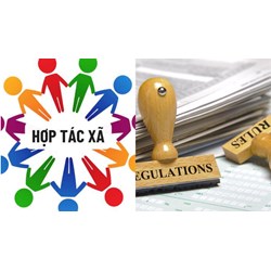 Điều lệ hợp tác xã phải có thông tin về biểu tượng của hợp tác xã?