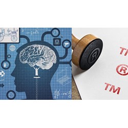 Thời điểm được pháp luật bảo hộ sở hữu trí tuệ đối với nhãn hiệu?