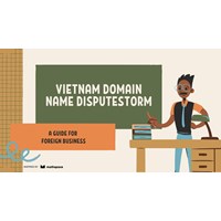 Vietnam Domain Name Disputestorm: A Foreign Business Guide