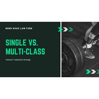 One or Many? Single vs. Multi-Class: Vietnam Trademark Strategy