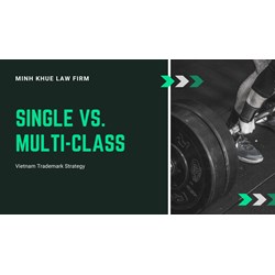 One or Many? Single vs. Multi-Class: Vietnam Trademark Strategy