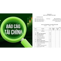 Mức phạt hành vi làm giả báo cáo tài chính cập nhật mới nhất 2024