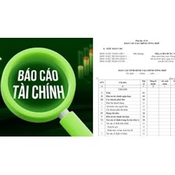 Mức phạt hành vi làm giả báo cáo tài chính cập nhật mới nhất 2024