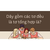 Dãy gồm các tơ đều là tơ tổng hợp là? Hoá học lớp 12