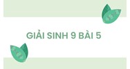 Giải Sinh 9 Bài 5: Lai hai cặp tính trạng (tiếp theo) chi tiết nhất