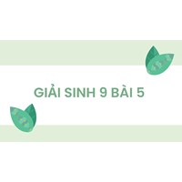 Giải Sinh 9 Bài 5: Lai hai cặp tính trạng (tiếp theo) chi tiết nhất