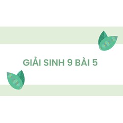 Giải Sinh 9 Bài 5: Lai hai cặp tính trạng (tiếp theo) chi tiết nhất