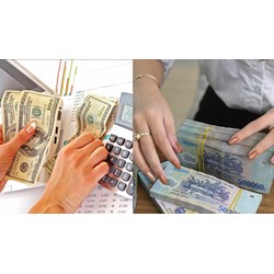 Xử lý thừa tiền, thiếu tiền trong quá trình tiêu hủy tiền mặt tại Vụ Tài chính - Kế toán thế nào