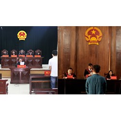 Trong một phiên tòa, Thẩm phán và Hội thẩm là anh em họ của nhau được không?