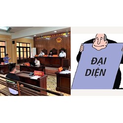Đề nghị chỉ định người đại diện trong tố tụng dân sự được không?
