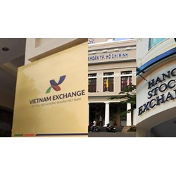 Hình thức báo cáo giám sát của Sở giao dịch chứng khoán Việt Nam?