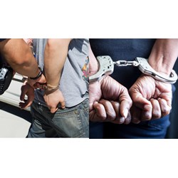 Interpol là gì? Quyền của người bị bắt theo quyết định truy nã