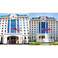 Phó Tổng cục trưởng Tổng cục Thuế phải tốt nghiệp đại học chính quy?