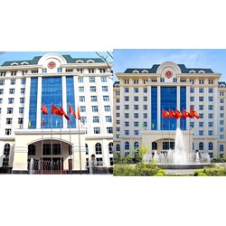 Phó Tổng cục trưởng Tổng cục Thuế phải tốt nghiệp đại học chính quy?