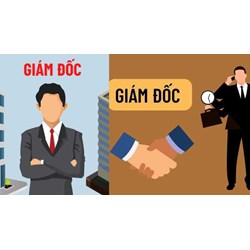 Cùng lúc GĐ doanh nghiệp nhà nước có thể làm người đại diện theo pháp luật công ty không