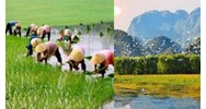 Giải Bài 2: Thiên nhiên và con người địa phương em - Lớp 4