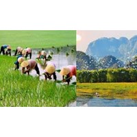 Giải Bài 2: Thiên nhiên và con người địa phương em - Lớp 4