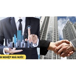 Doanh nghiệp nhà nước có được mua đất để xây dựng trụ sở không?