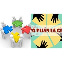Cổ đông sáng lập chỉ được chuyển nhượng cổ phần cho cổ đông sáng lập khác?