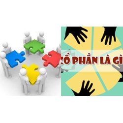 Cổ đông sáng lập chỉ được chuyển nhượng cổ phần cho cổ đông sáng lập khác?