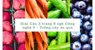 Giải Câu 3 trang 8 sgk Công nghệ 9 - Trồng cây ăn quả