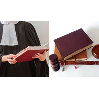 Chế tài khi phân công 01 luật sư hướng dẫn quá 03 người tập sự cùng thời điểm