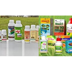 Trình tự thủ tục cấp Giấy phép vận chuyển thuốc bảo vệ thực vật
