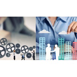 Chính sách về thuế khi chuyển đổi loại hình doanh nghiệp