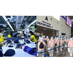 Thông tin người lao động Việt Nam làm việc ở nước ngoài theo hợp đồng