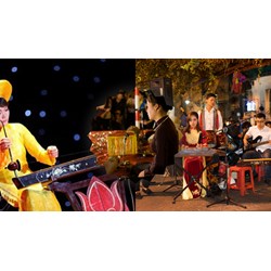 Thuyết minh về một nhạc cụ dân tộc: Đàn bầu chọn lọc hay nhất