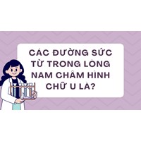 Các đường sức từ trong lòng nam châm hình chữ U là? Vật lý 11