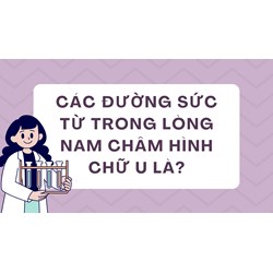 Các đường sức từ trong lòng nam châm hình chữ U là? Vật lý 11