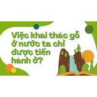 Việc khai thác gỗ ở nước ta chỉ được tiến hành ở? Địa lý lớp 12