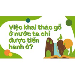 Việc khai thác gỗ ở nước ta chỉ được tiến hành ở? Địa lý lớp 12